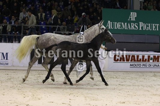 CA D ORO_MILANO_2010_SS3_3957.jpg